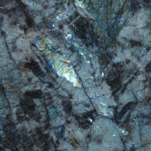 Quartzite Lemurian Baobab